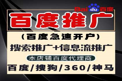 某电商平台的SEM策略与效果展示